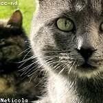 Ulices Huels Profile Picture