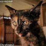 Dock Kerluke Profile Picture